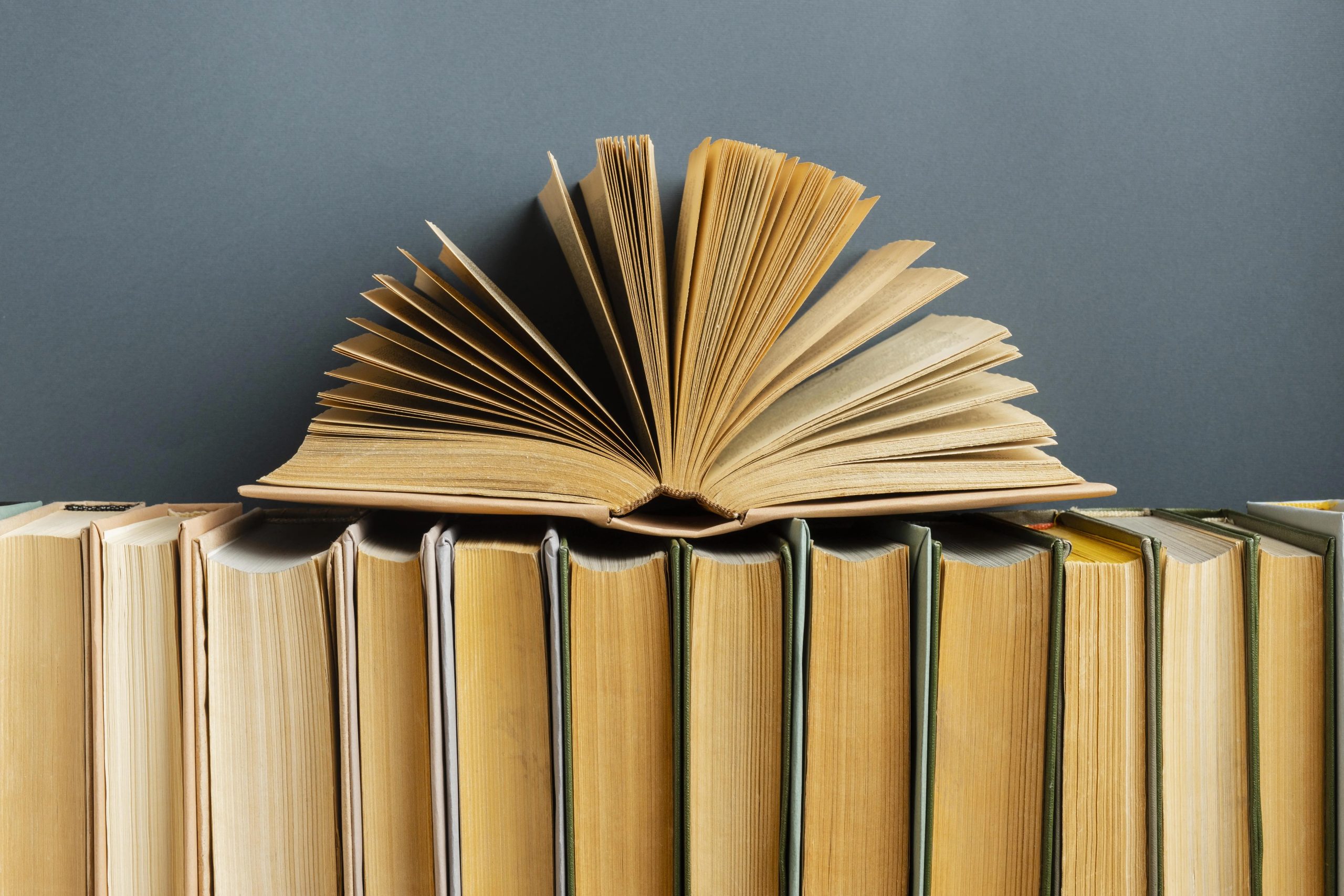 I 2 migliori libri del 2024 fino ad oggi